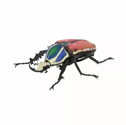 Mecynorhina Ugandensis Giant African Beetle Insect PVC Action Figure model B