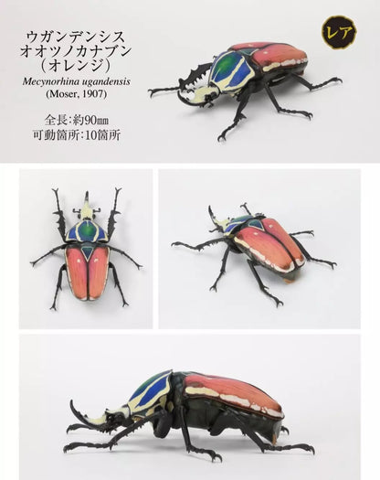 Mecynorhina Ugandensis Giant African Beetle Insect PVC Action Figure model B