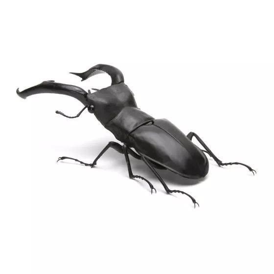 Fork-horned Stag beetle Insect PVC Action Figure model with joints