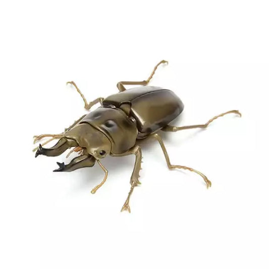 Golden Stag Beetle Insect PVC Action Figure model with joints