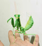 Green giant Asian mantis juvenile insect PVC Action Figure model with joints