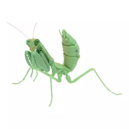 Green giant Asian mantis juvenile insect PVC Action Figure model with joints