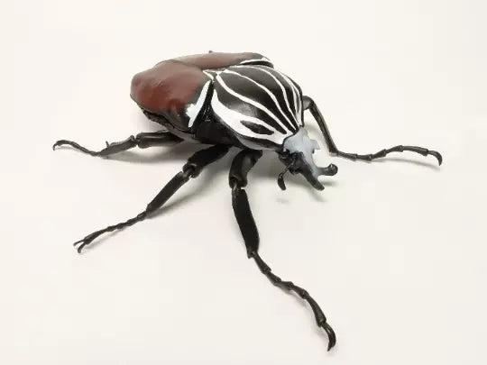 Japan Goliath beetle Insect PVC Action Figure model with joints