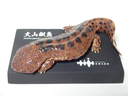 Japan Kyoto Aquarium exclusive Giant Salamander Resin Figure Model Figurine