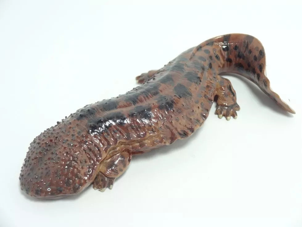 Japan Kyoto Aquarium exclusive Giant Salamander Resin Figure Model Figurine