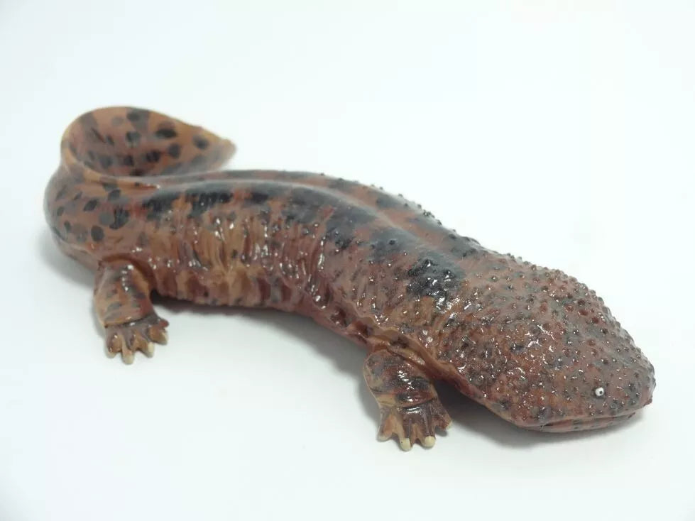 Japan Kyoto Aquarium exclusive Giant Salamander Resin Figure Model Figurine