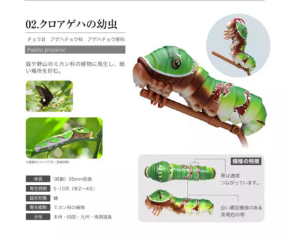 Spangle Swallowtail Butterfly Caterpillar PVC Action Figure Figurine Model B