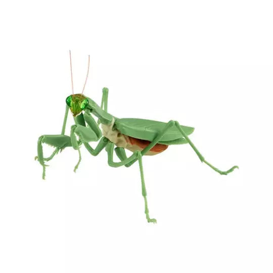 Chinese Mantis Insect PVC Action Figure model with joints (Green color) A