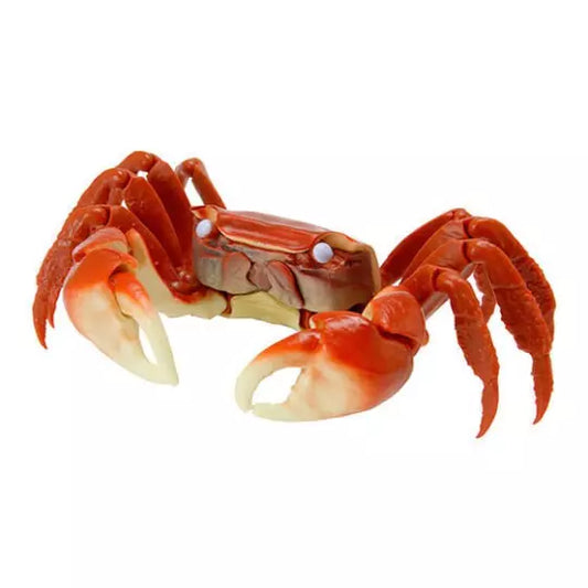 Red clawed crab PVC Action Figure model with joints