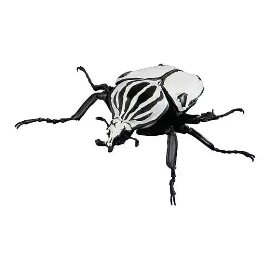 Japan Goliath beetle Insect PVC Action Figure model with joints (White)