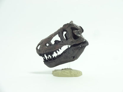 Retired Kaiyodo Tyrannosaurus Rex T-Rex Skull Dinosaur PVC mini figure model RARE