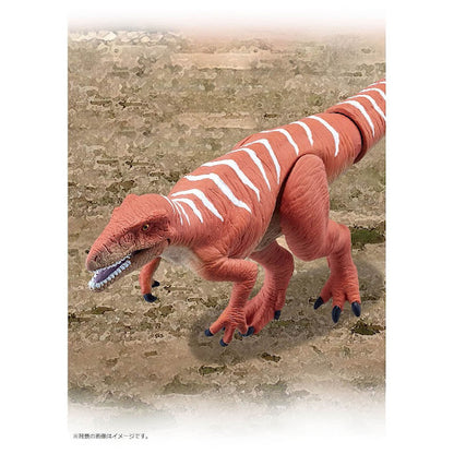 Japan Fukuiraptor dinosaur PVC Action Figure Model Figurine